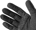 Anticut2.webp