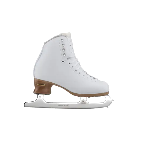 skate_boot_transparent.webp