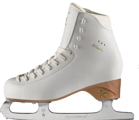 Risport Electra set Mk Flight 